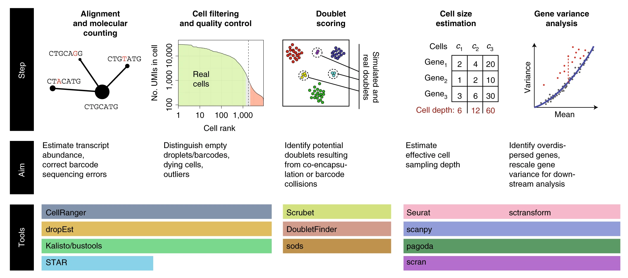 Key preprocessing steps in single-cell RNA-seq analysis