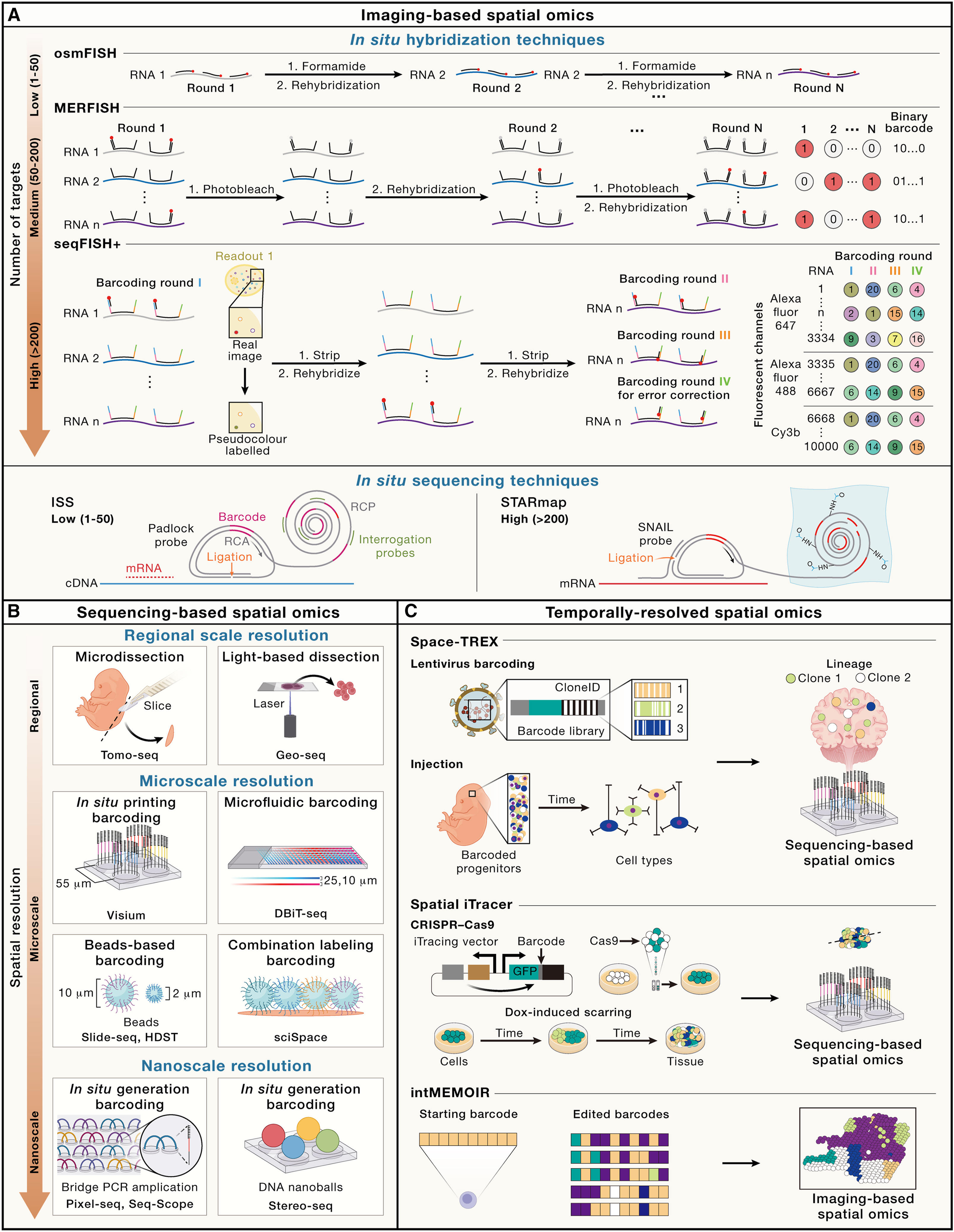 Spatial omics technologies